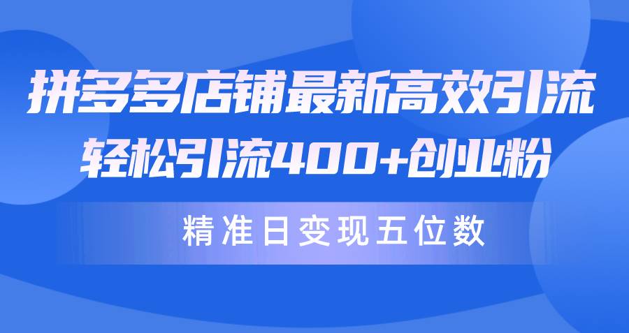 （10041期）拼多多店铺最新高效引流术，轻松引流400+创业粉，精准日变现五位数！-问小徐资源库