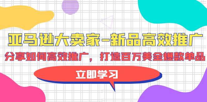 （9945期）亚马逊 大卖家-新品高效推广，分享如何高效推广，打造百万美金爆款单品-问小徐资源库