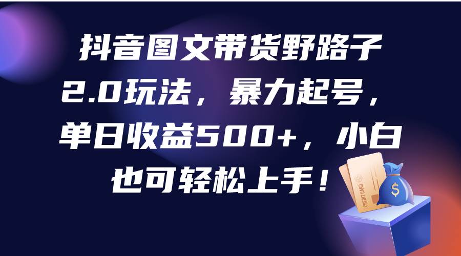（9790期）抖音图文带货野路子2.0玩法，暴力起号，单日收益500+，小白也可轻松上手！-问小徐资源库