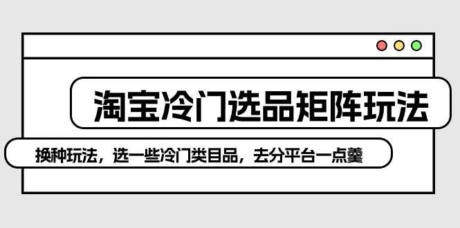 （10159期）淘宝冷门选品矩阵玩法：换种玩法，选一些冷门类目品，去分平台一点羹-问小徐资源库