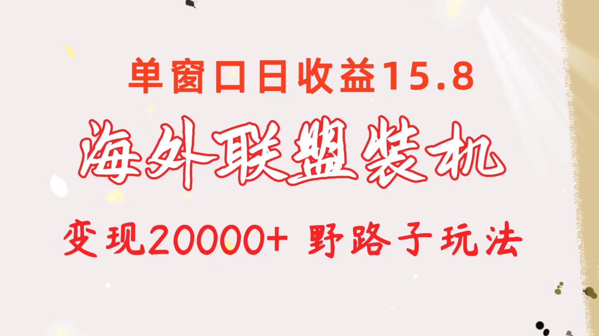 （10475期）海外联盟装机 单窗口日收益15.8  变现20000+ 野路子玩法-问小徐资源库