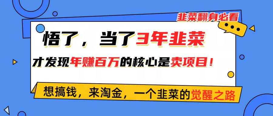 （10759期）悟了，当了3年韭菜，才发现网赚圈年赚100万的核心是卖项目，含泪分享！-问小徐资源库