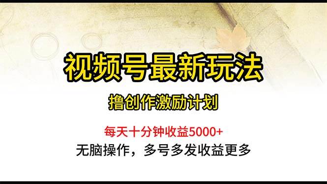 （10591期）视频号最新玩法，每日一小时月入5000+-问小徐资源库