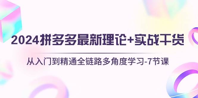 （10816期）2024拼多多 最新理论+实战干货，从入门到精通全链路多角度学习-7节课-问小徐资源库