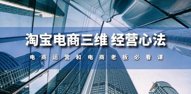 （10761期）淘宝电商三维 经营心法：电商运营和电商老板必看课（59节课）-问小徐资源库