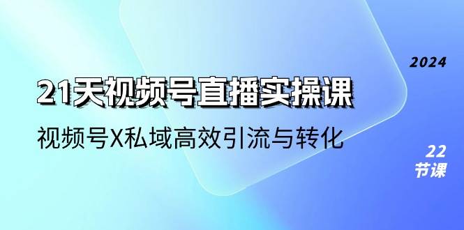 （10966期）21天-视频号直播实操课，视频号X私域高效引流与转化（22节课）-问小徐资源库