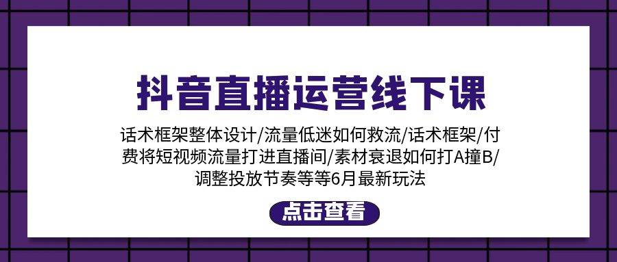 （11211期）抖音直播运营线下课：话术框架/付费流量直播间/素材A撞B/等6月新玩法-问小徐资源库