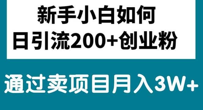 （10843期）新手小白日引流200+创业粉,通过卖项目月入3W+-问小徐资源库