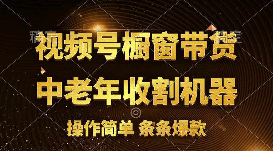 （11009期）[你的孩子成功取得高位]视频号最火爆赛道，橱窗带货，流量分成计划，条…-问小徐资源库