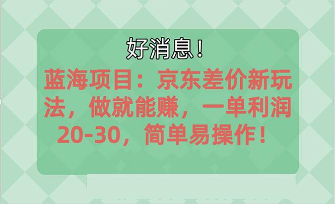 （10989期）越早知道越能赚到钱的蓝海项目：京东大平台操作，一单利润20-30，简单…-问小徐资源库