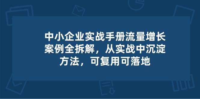 （10889期）中小 企业 实操手册-流量增长案例拆解，从实操中沉淀方法，可复用可落地-问小徐资源库