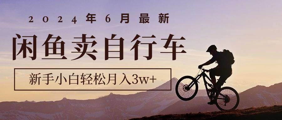 （10915期）2024年6月最新闲鱼卖自行车，新手小白轻松月入3w+项目-问小徐资源库