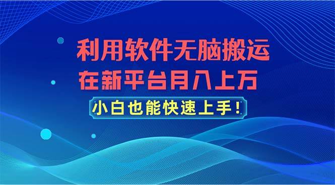 （11078期）利用软件无脑搬运，在新平台月入上万，小白也能快速上手-问小徐资源库