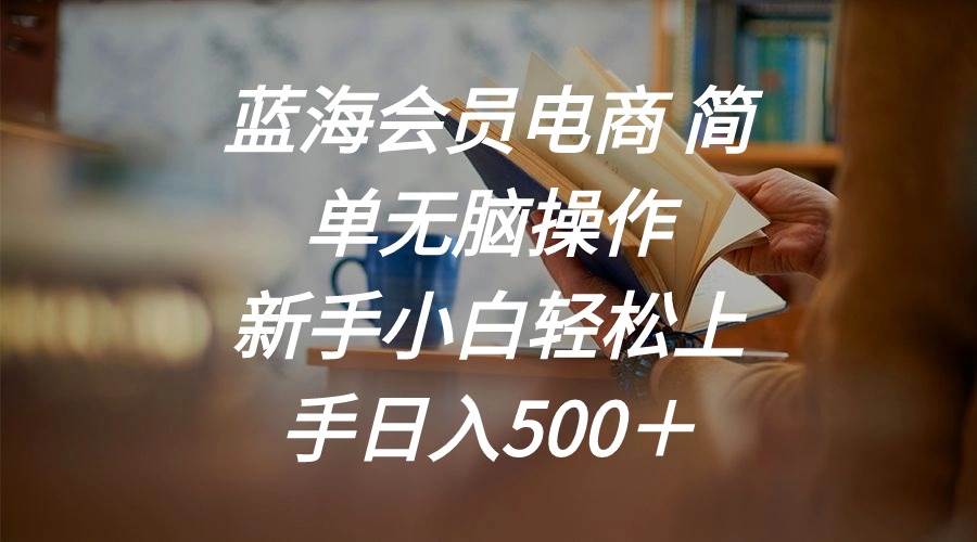 （11068期）蓝海会员电商 简单无脑操作 新手小白轻松上手日入500＋-问小徐资源库
