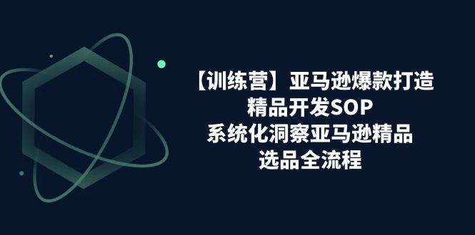 （11210期）【训练营】亚马逊爆款打造之精品开发SOP，系统化洞察亚马逊精品选品全流程-问小徐资源库