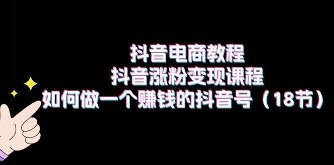 （11436期）抖音电商教程：抖音涨粉变现课程：如何做一个赚钱的抖音号（18节）-问小徐资源库