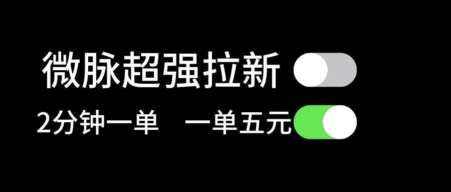 （11580期）微脉超强拉新， 两分钟1单， 一单利润5块，适合小白-问小徐资源库