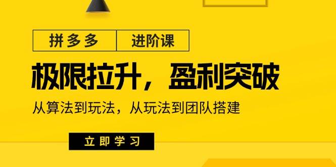 （11435期）拼多多·进阶课：极限拉升/盈利突破：从算法到玩法 从玩法到团队搭建-18节-问小徐资源库