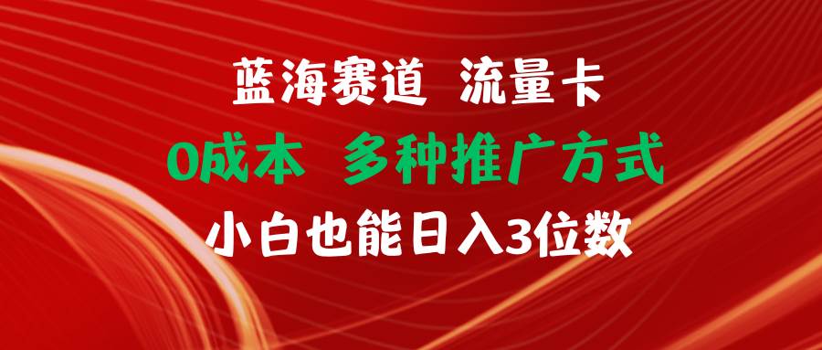 （11768期）蓝海赛道 流量卡 0成本 小白也能日入三位数-问小徐资源库