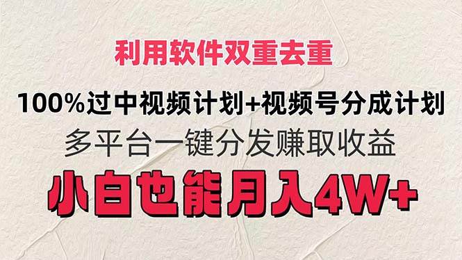 （11862期）利用软件双重去重，100%过中视频+视频号分成计划小白也可以月入4W+-问小徐资源库