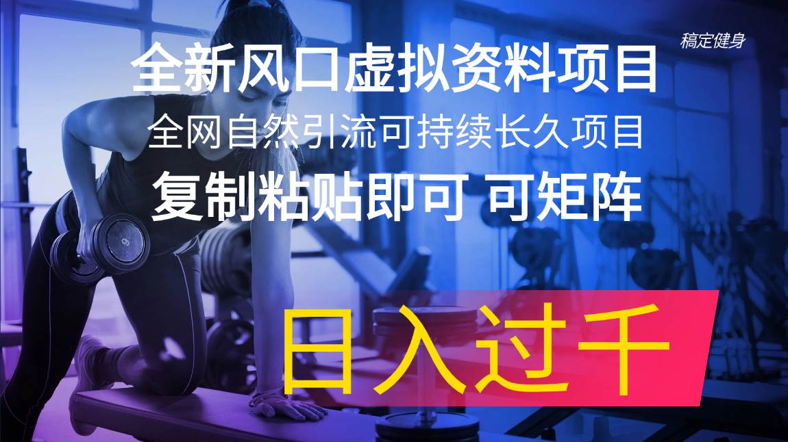 （11587期）全新风口虚拟资料项目 全网自然引流可持续长久项目 复制粘贴即可可矩阵…-问小徐资源库