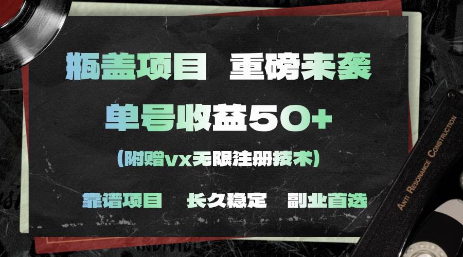 （11381期）一分钟一单，一单利润30+，适合小白操作-问小徐资源库