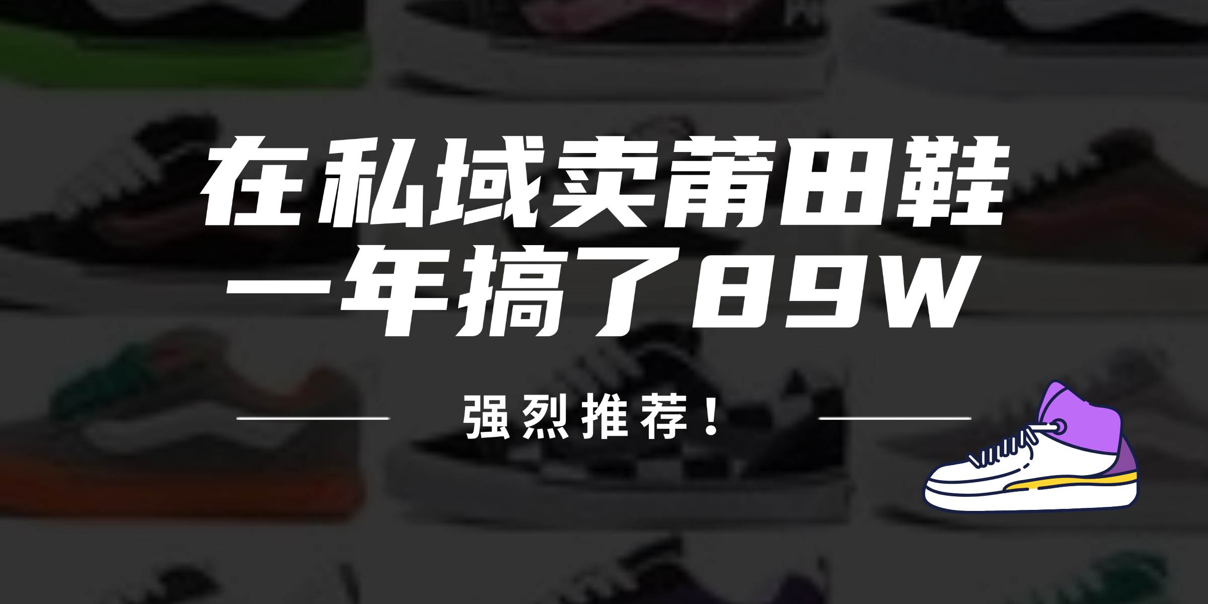 （12370期）24年在私域卖莆田鞋，一年搞了89W，强烈推荐！-问小徐资源库