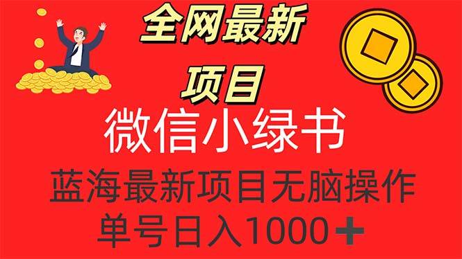（12163期）全网最新项目，微信小绿书，做第一批吃肉的人，一天十几分钟，无脑单号…-问小徐资源库