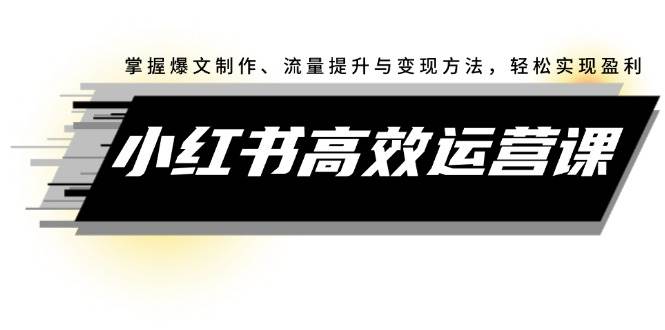 （12369期）小红书高效运营课：掌握爆文制作、流量提升与变现方法，轻松实现盈利-问小徐资源库