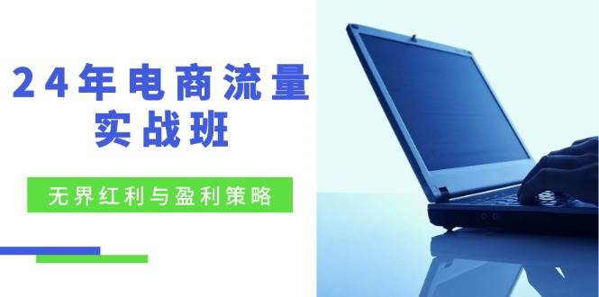 （12168期）24年电商流量实战班：无界 红利与盈利策略，终极提升/关键词优化/精准…-问小徐资源库