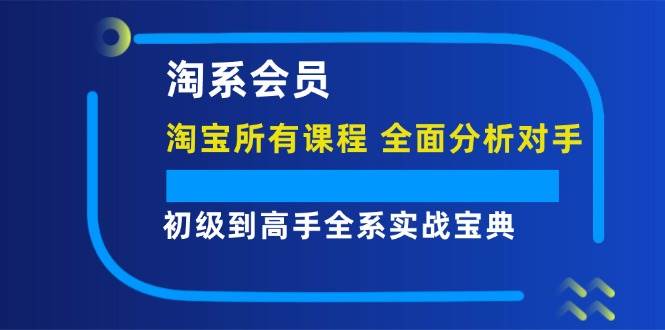 （12055期）淘系会员【淘宝所有课程，全面分析对手】，初级到高手全系实战宝典-问小徐资源库