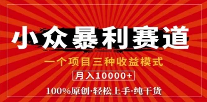 （12756期）视频号最新爆火赛道，三种可收益模式，0粉新号条条原创条条热门 日入1000+-问小徐资源库