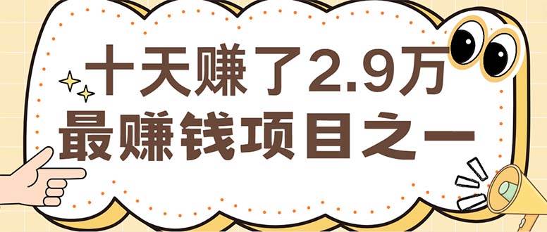 （12491期）闲鱼小红书赚钱项目之一，轻松月入6万+项目-问小徐资源库