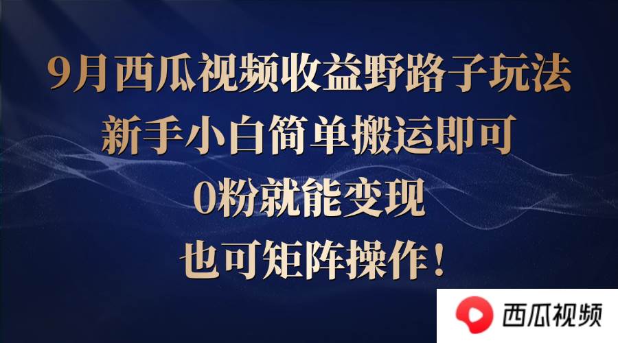 （12760期）西瓜视频收益野路子玩法，新手小白简单搬运即可，0粉就能变现，也可矩…-问小徐资源库