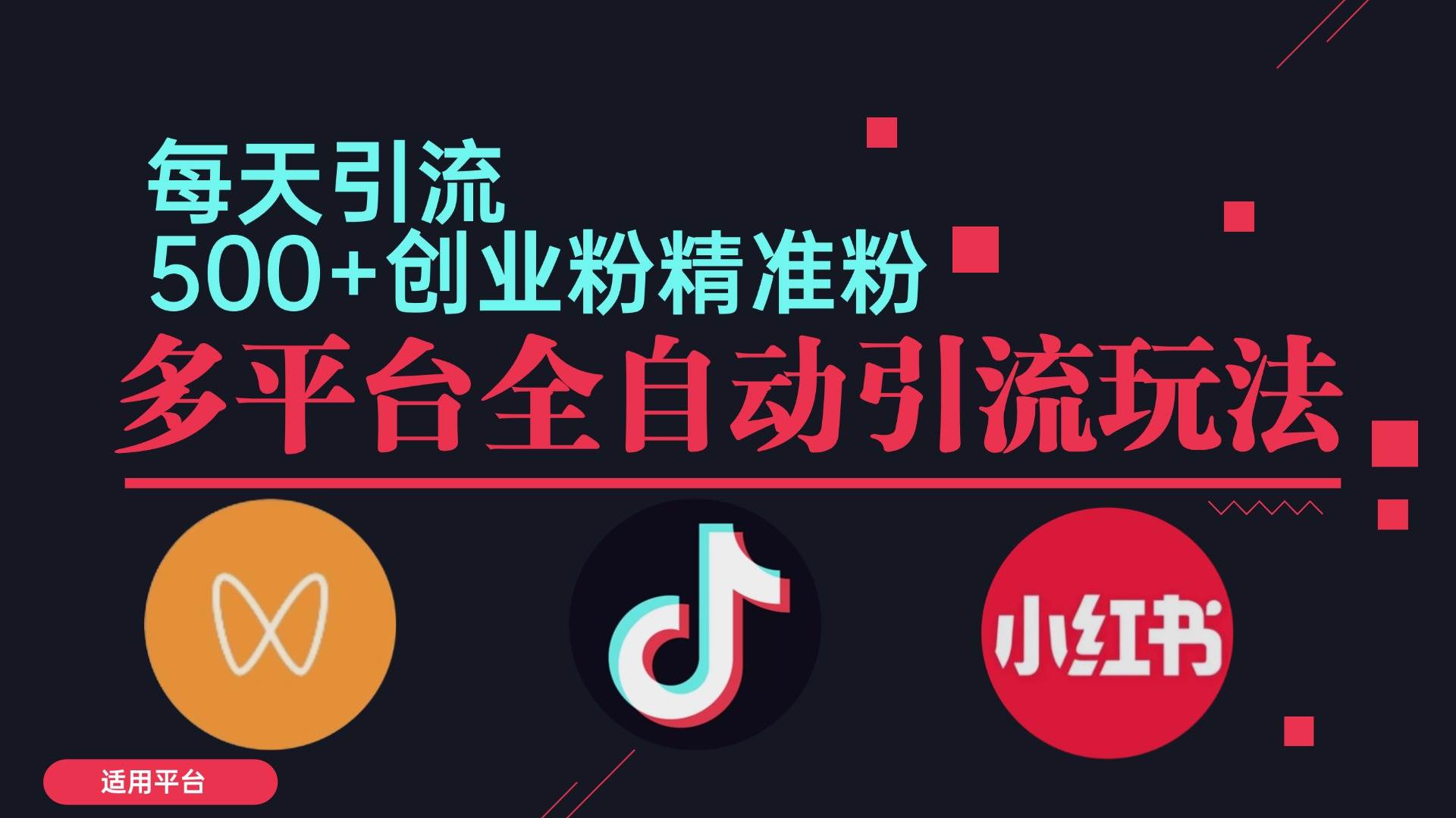 （12765期）小红书抖音视频号截流自热全平台引流打法，全自动引流【日引2000+精准…-问小徐资源库