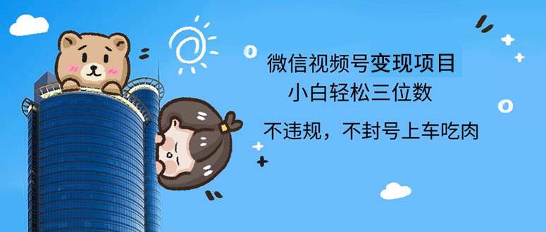 （12660期）2024最新微信视频号，0撸项目，自己玩，小白轻松日入三位数-问小徐资源库