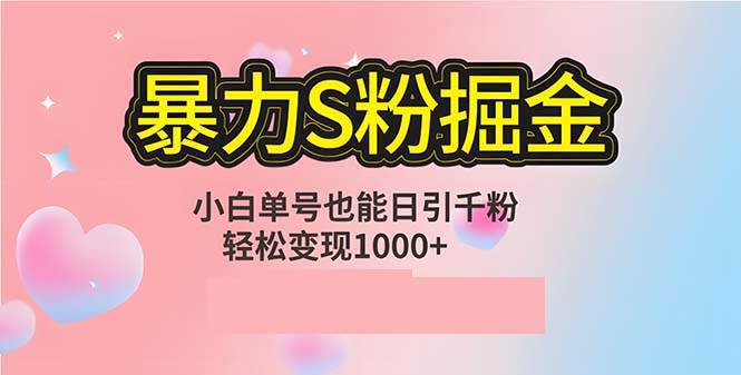 （12778期）单人单机日引千粉，变现1000+，S粉流量掘金计划攻略-问小徐资源库