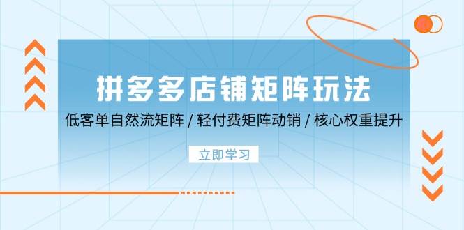 （12720期）拼多多店铺矩阵玩法：低客单自然流矩阵 / 轻付费矩阵 动销 / 核心权重提升-问小徐资源库