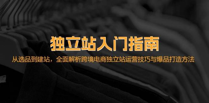 （12882期）独立站入门指南：从选品到建站，全面解析跨境电商独立站运营技巧与爆品…-问小徐资源库