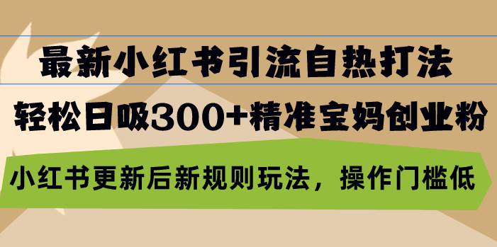 （13145期）最新小红书引流自热打法，轻松日吸300+精准宝妈创业粉，小红书更新后新…-问小徐资源库