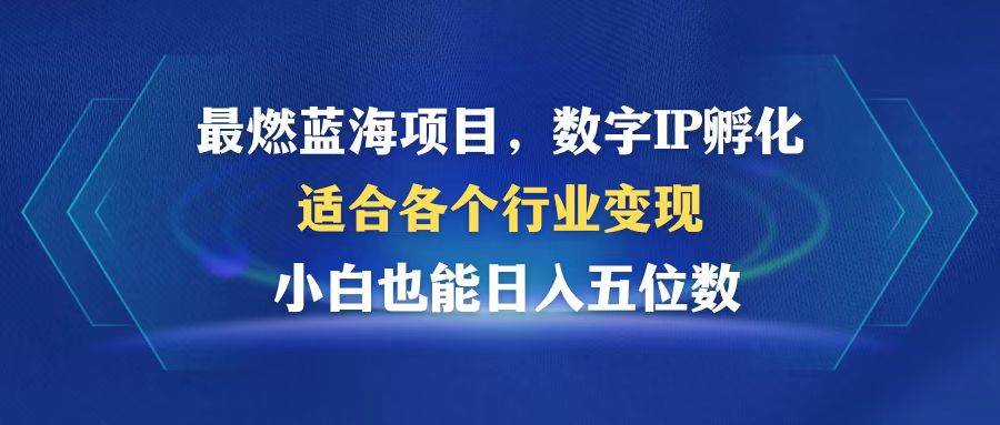 （12941期）最燃蓝海项目  数字IP孵化  适合各个行业变现  小白也能日入5位数-问小徐资源库