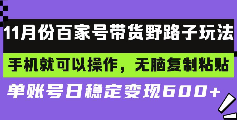 （13281期）百家号带货野路子玩法 手机就可以操作，无脑复制粘贴 单账号日稳定变现…-问小徐资源库