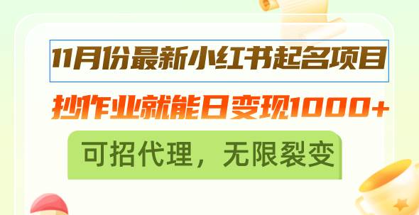 （13256期）11月份最新小红书起名项目，抄作业就能日变现1000+，可招代理，无限裂变-问小徐资源库