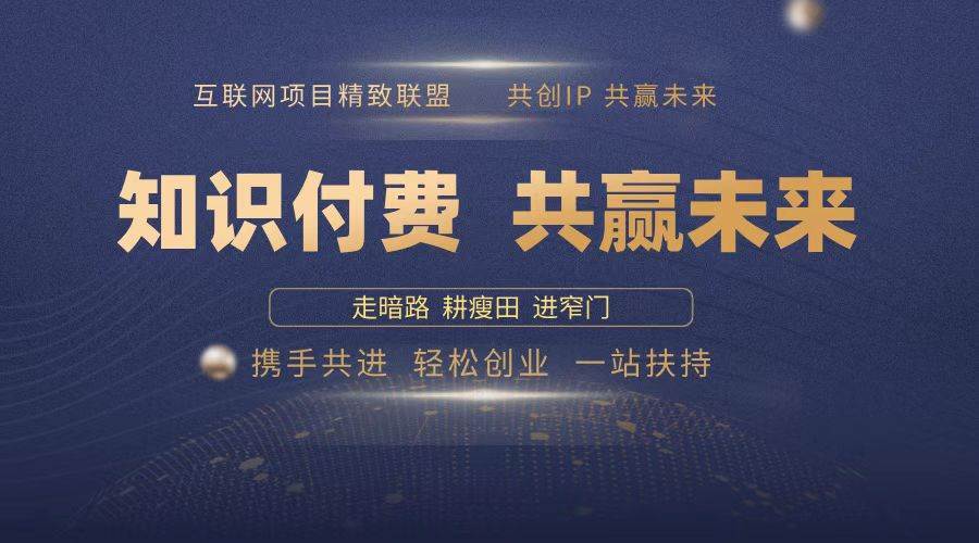 （13944期）2025年 如何通过 “知识付费” 卖项目月入十万、年入百万，布局2025与…-问小徐资源库