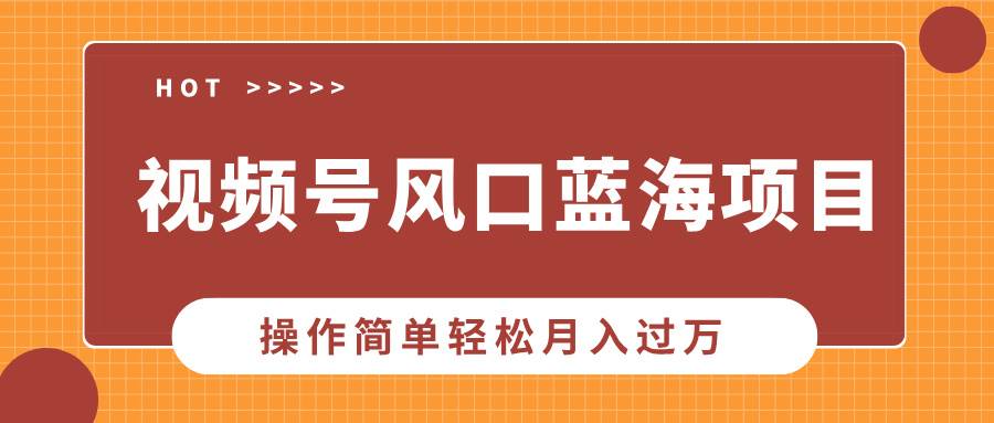 （13945期）视频号风口蓝海项目，中老年人的流量密码，操作简单轻松月入过万-问小徐资源库