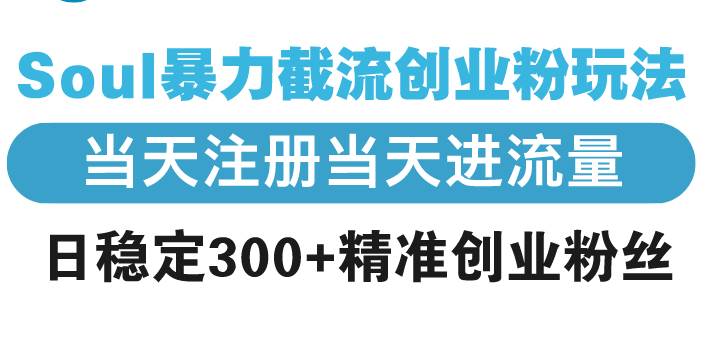 （13935期）Soul暴力截流创业粉玩法，当天注册当天进流量，日稳定300+精准创业粉丝-问小徐资源库