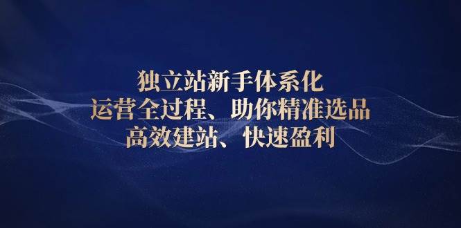 （13914期）独立站新手体系化 运营全过程，助你精准选品、高效建站、快速盈利-问小徐资源库