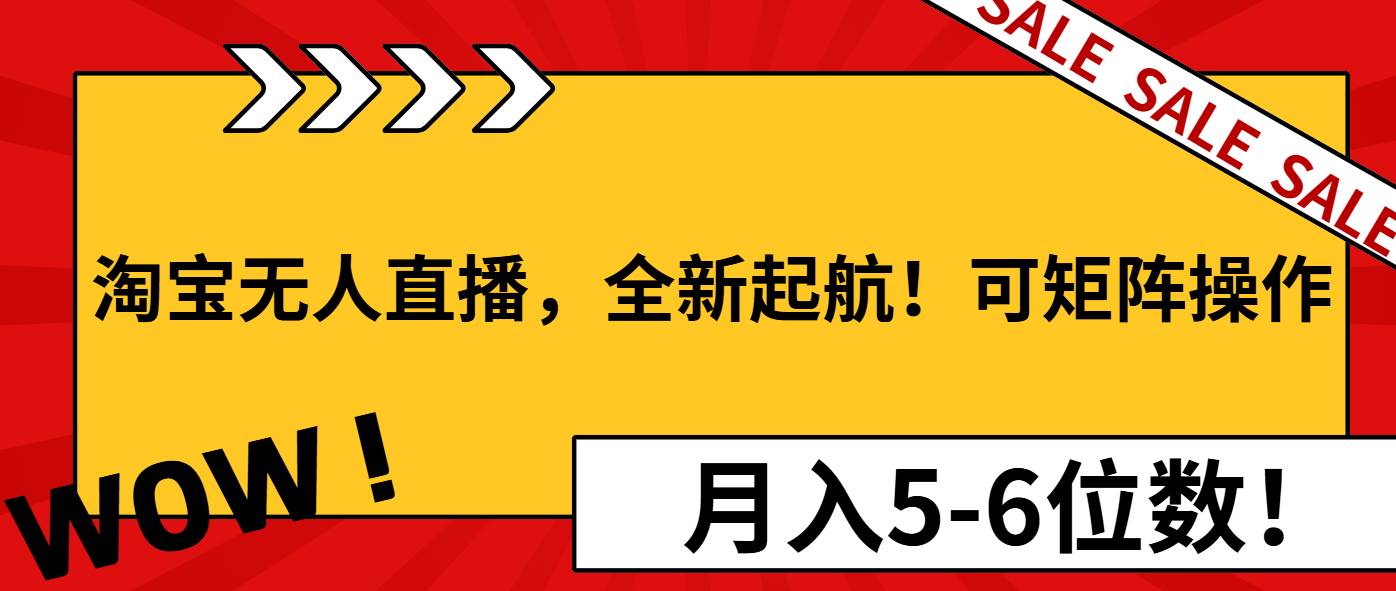 （13946期）淘宝无人直播，全新起航！可矩阵操作，月入5-6位数！-问小徐资源库