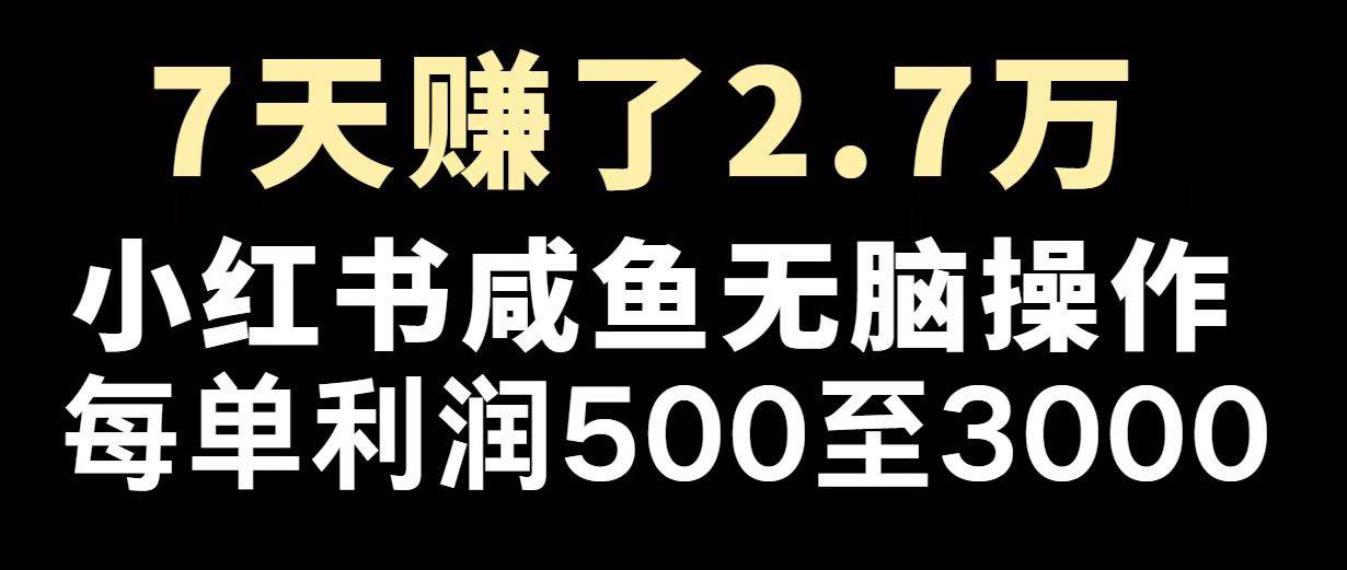 （14183期）最赚钱项目之一，2025爆火，逆风翻盘！-问小徐资源库