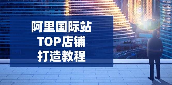 （14269期）阿里国际站TOP店铺打造教程：涵盖平台到高阶，解决运营难题，提升询盘-问小徐资源库